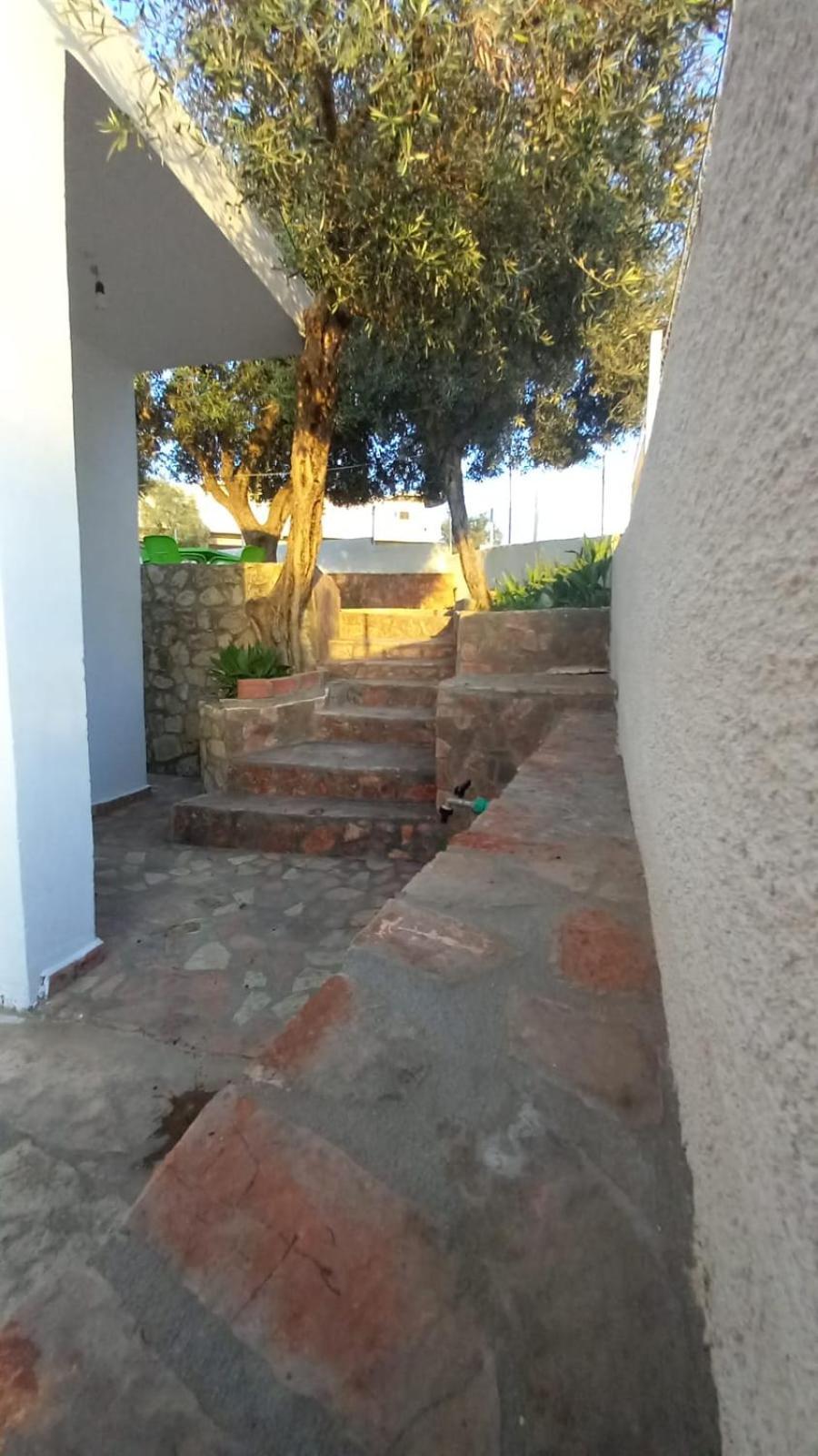 Dane Apartment كساميل المظهر الخارجي الصورة